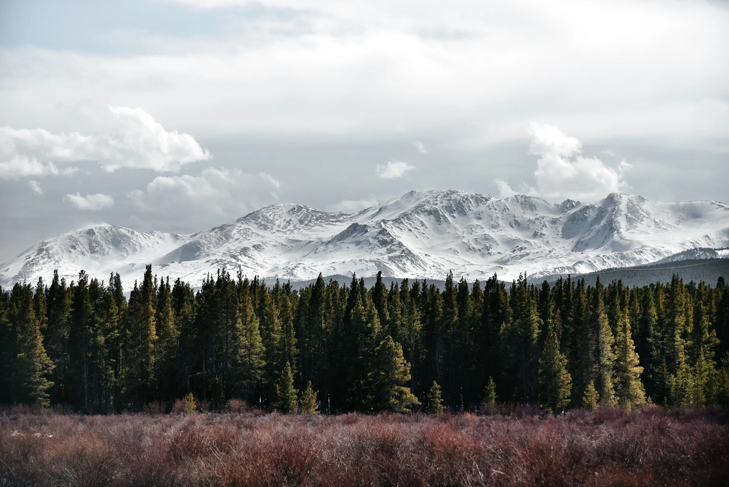 DSC_9519.jpg