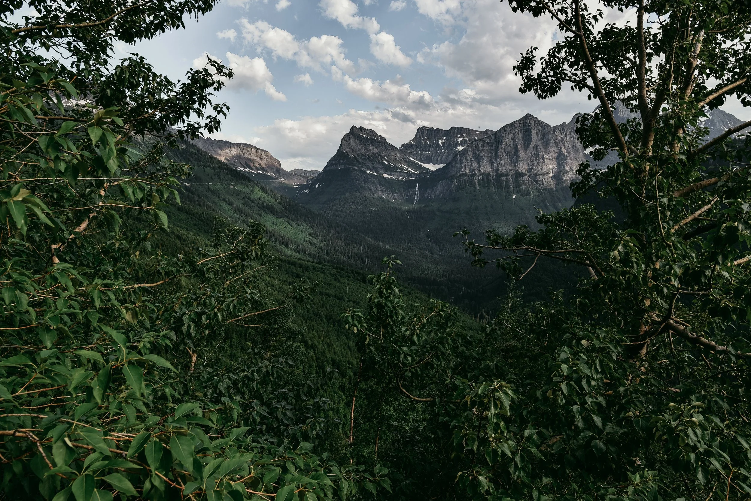 DSC_7004.jpg
