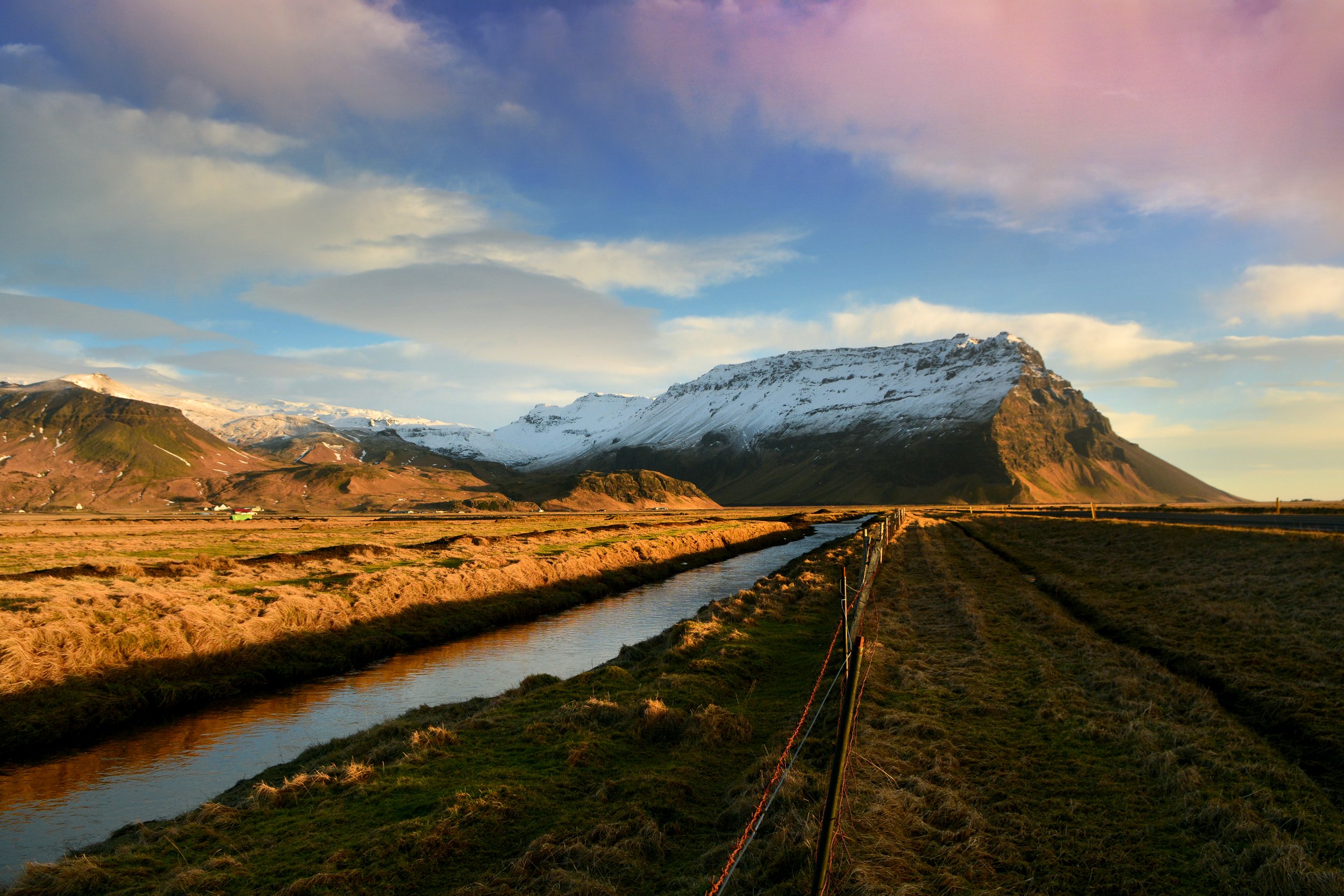 DSC_7999.JPG