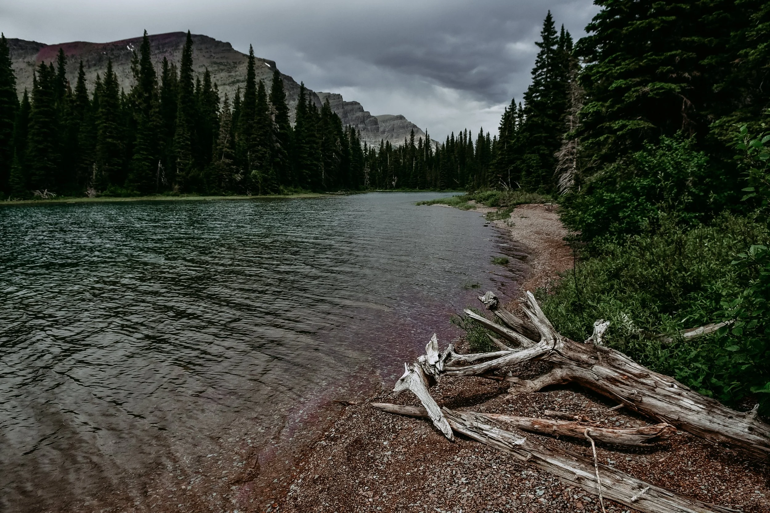 DSC_9666.jpg