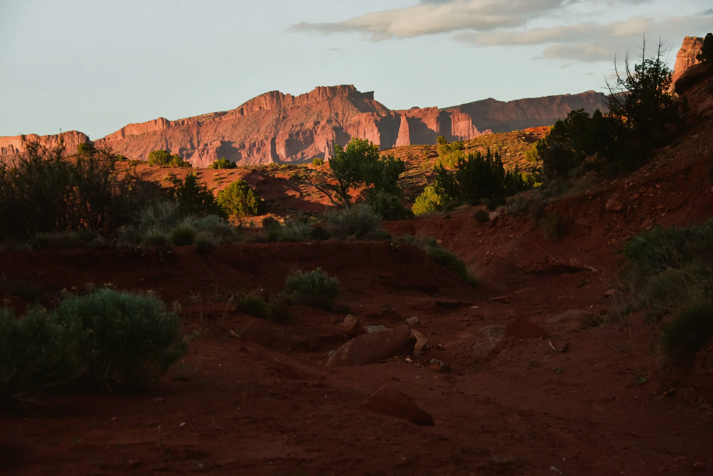 DSC_0987.jpg