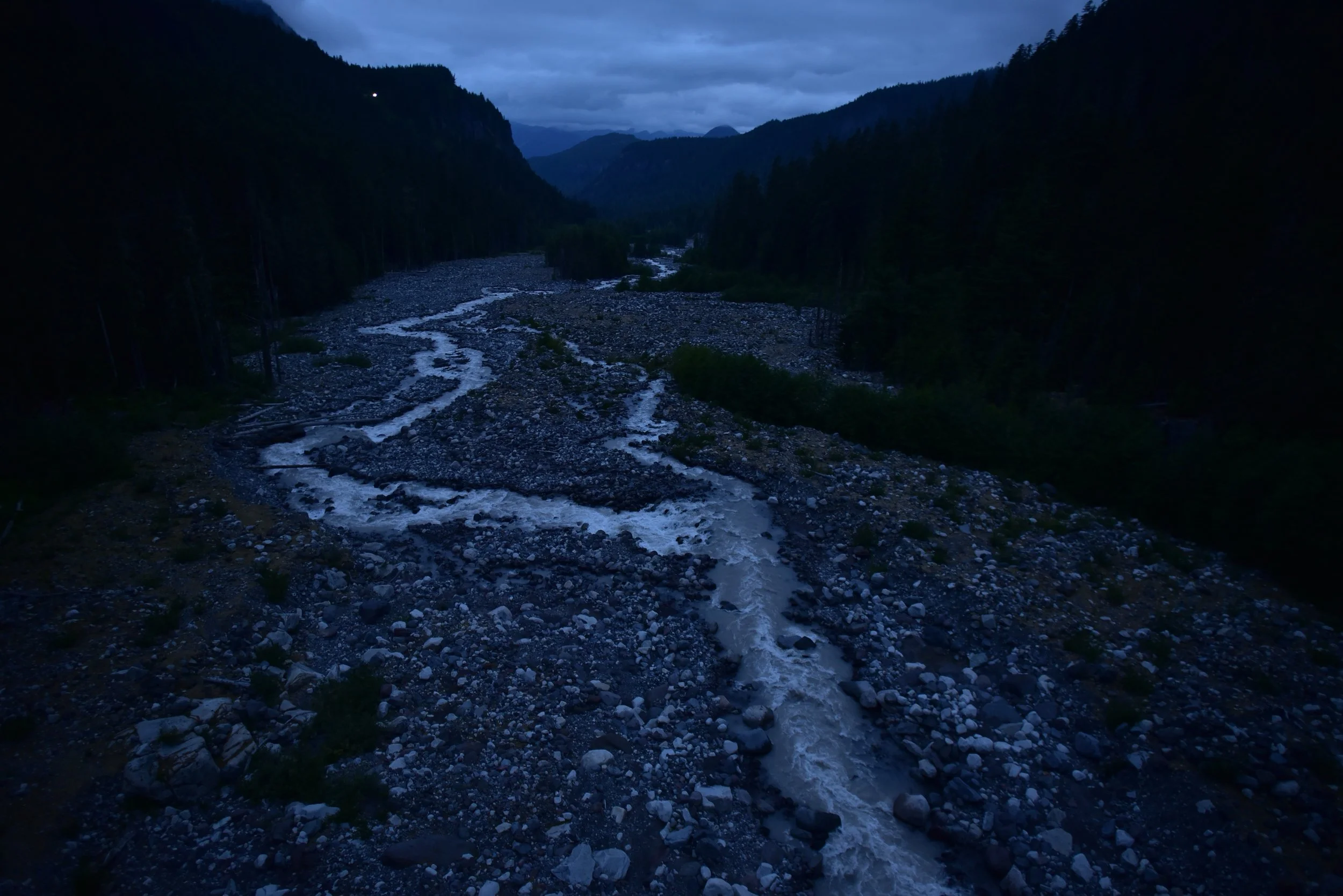 DSC_2334.jpg
