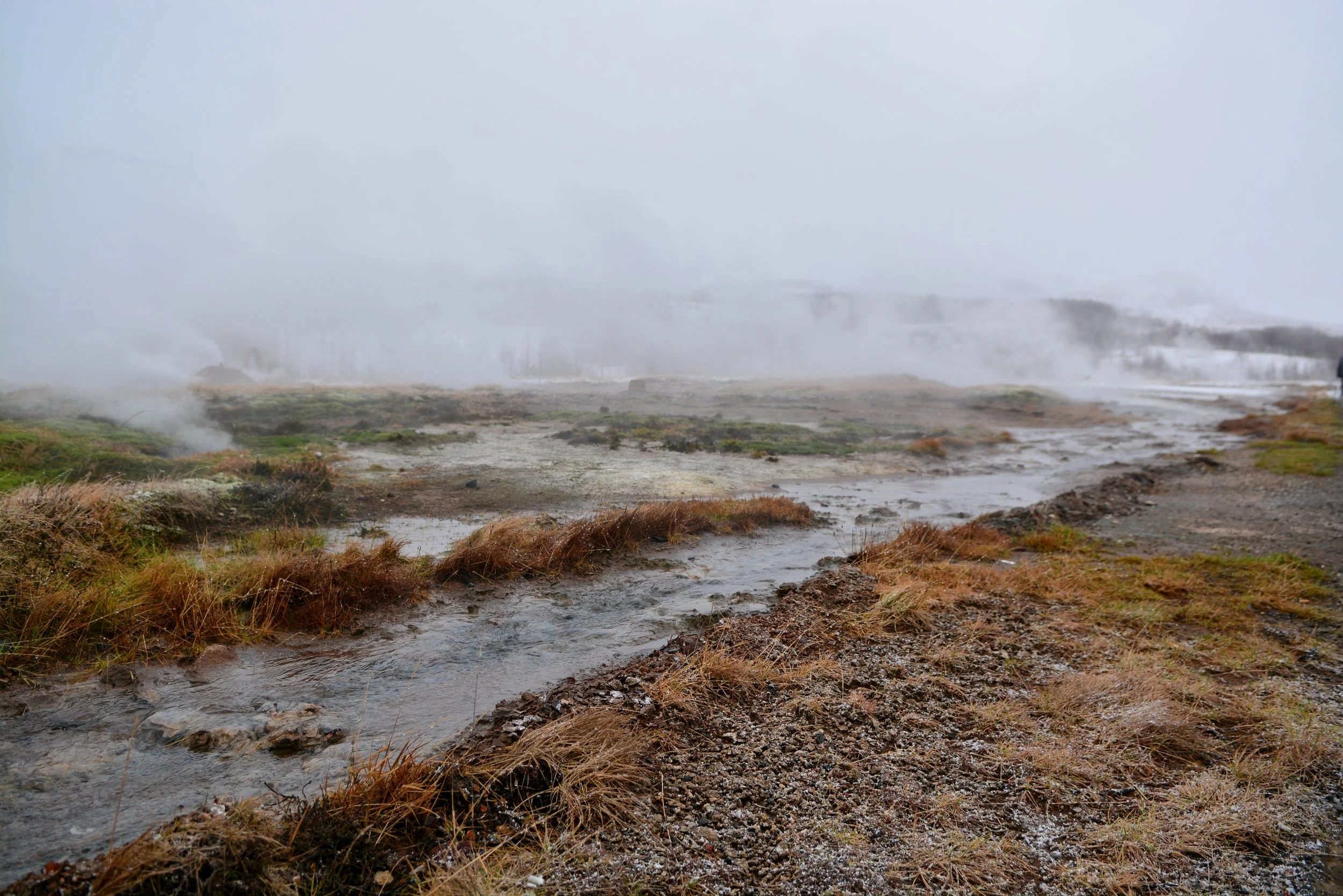 DSC_6266.JPG