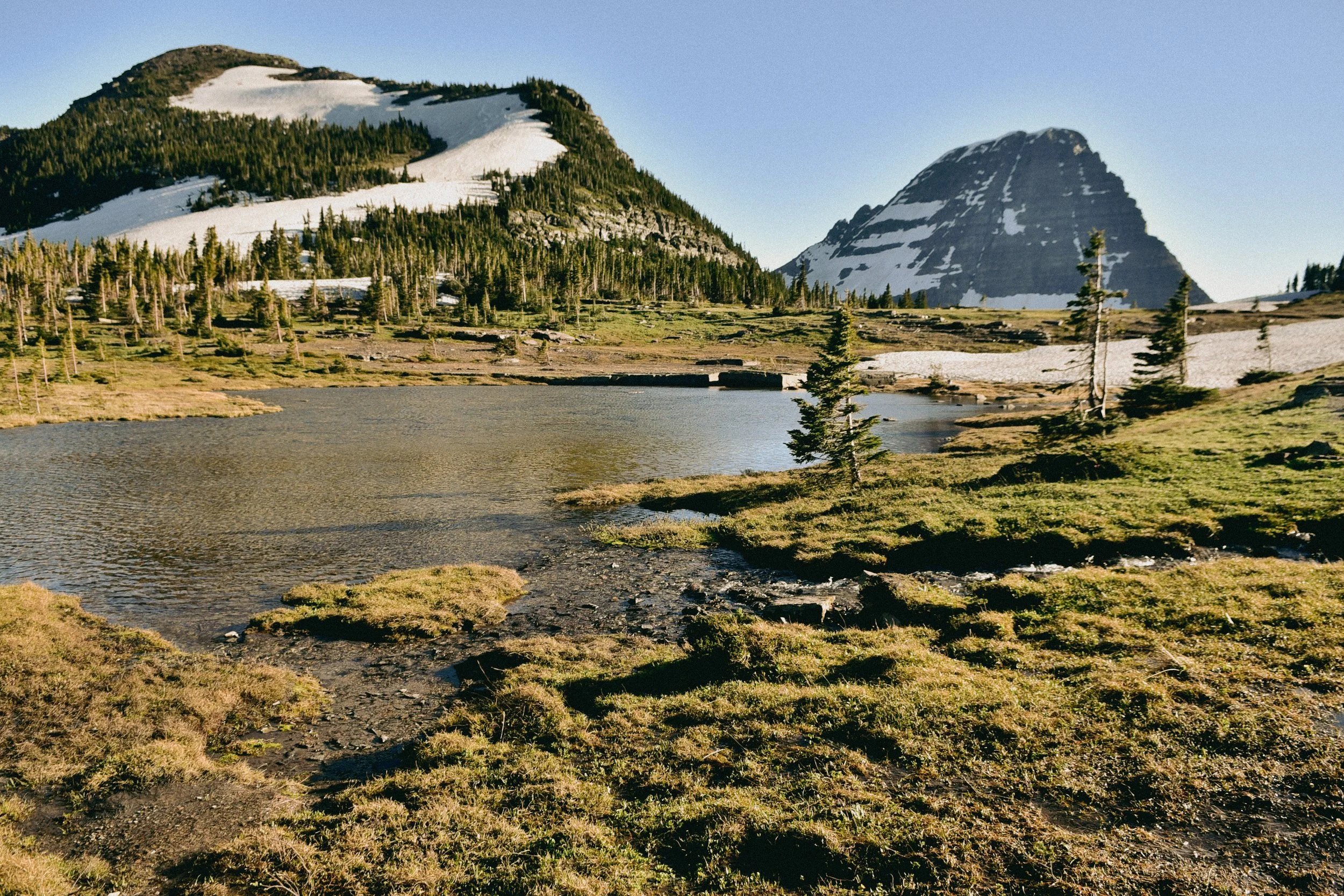 DSC_7978.jpg
