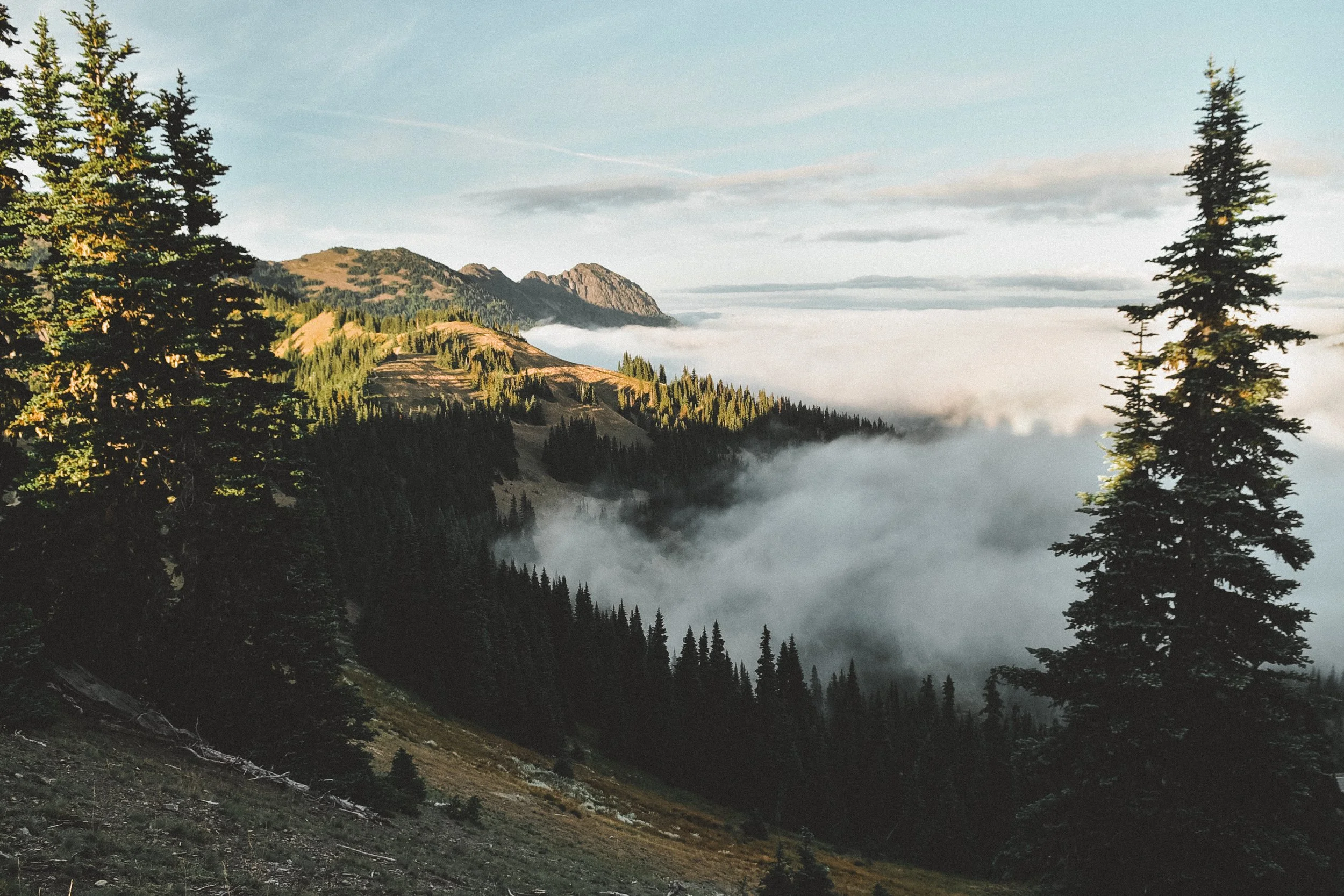 _DSC8010.jpg