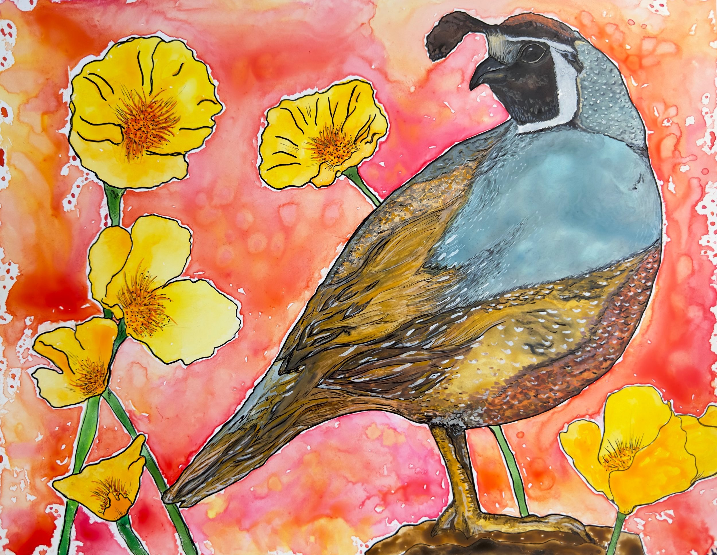 Warm+Quail+%26+Poppies.jpg