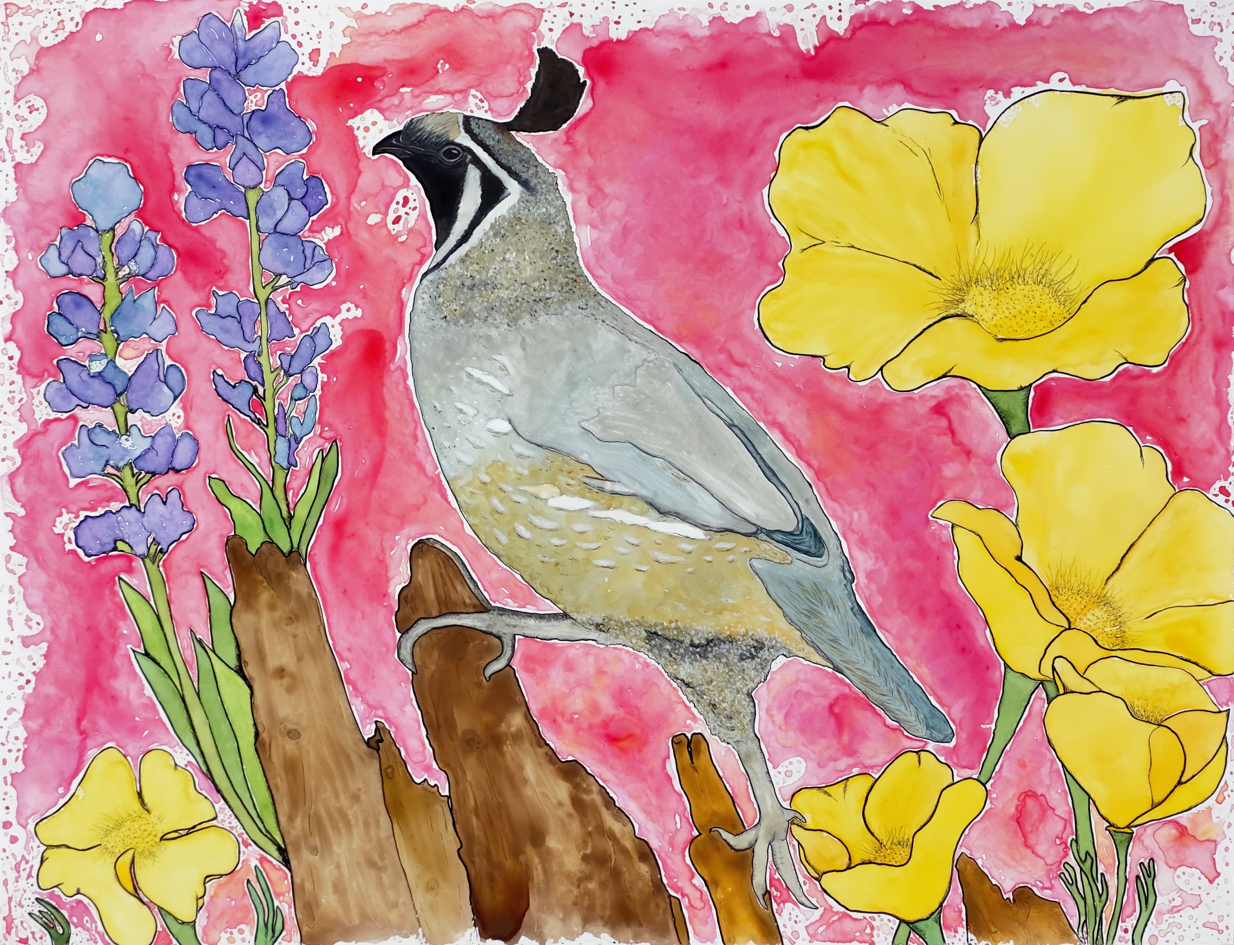 Wildflowers&Quail24.jpg