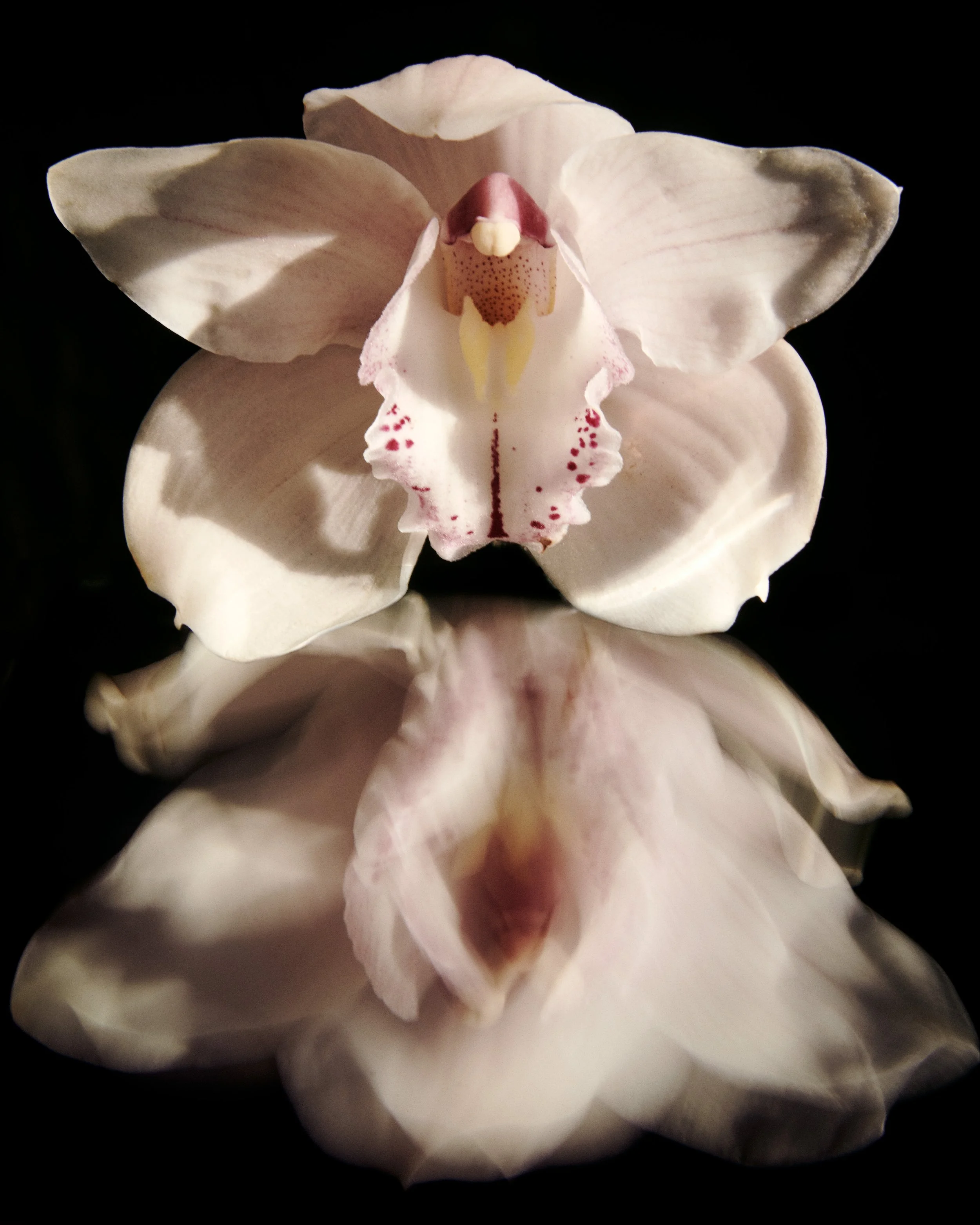 Flowers_47500.JPG