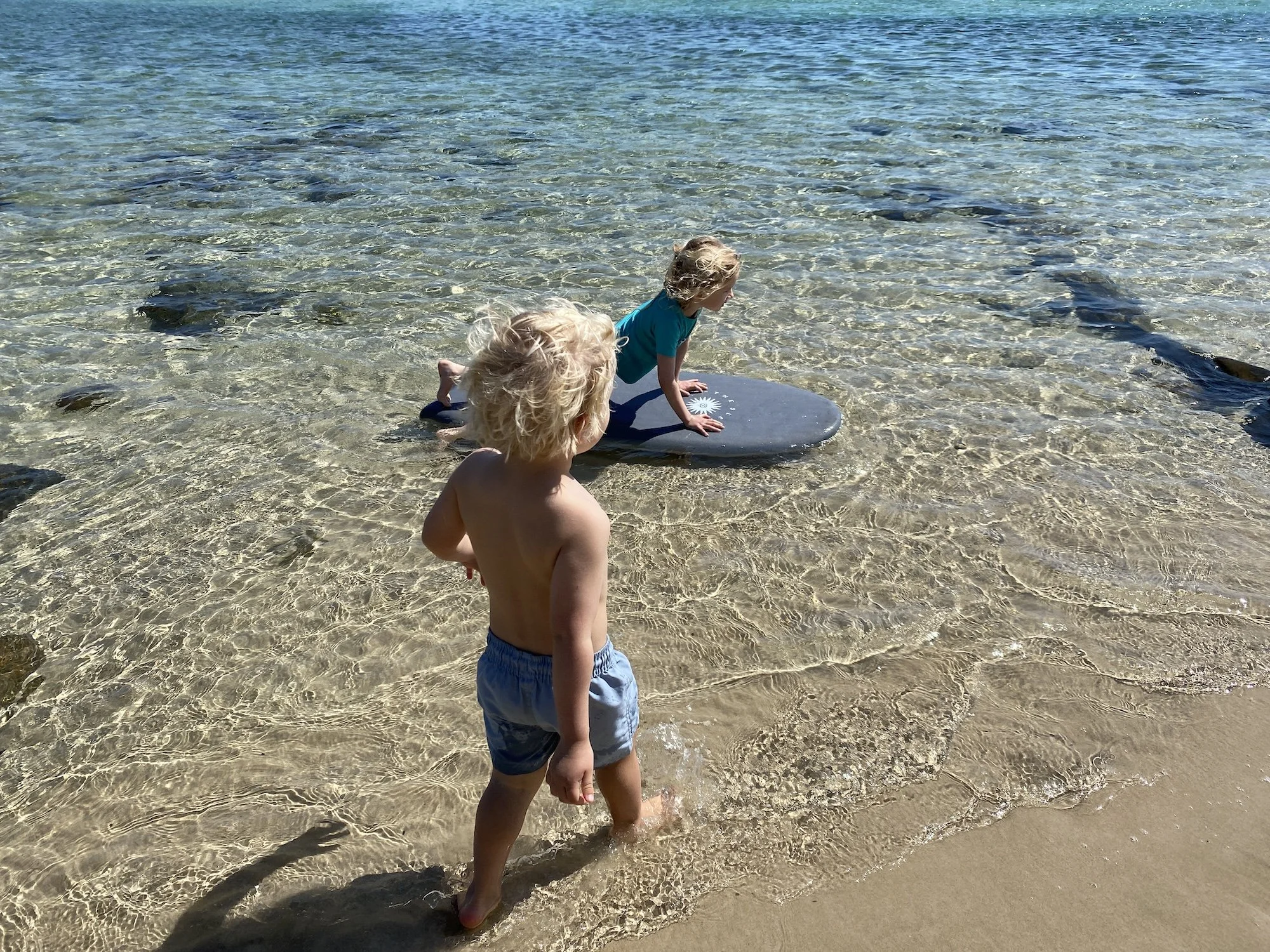 10 best free things to do in the Tweed with kids