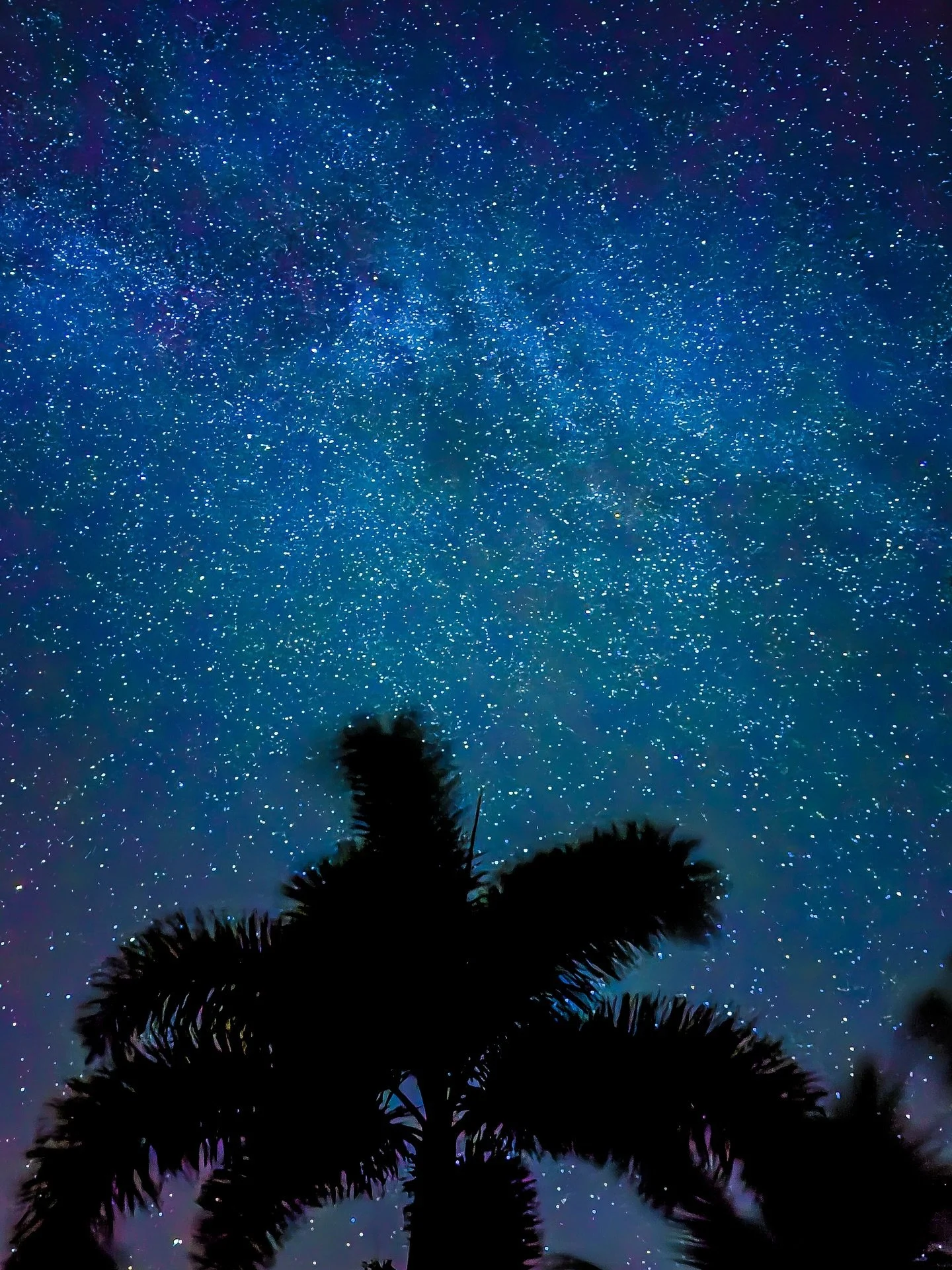 🪐Milky Way over Kauai, Hawaii October 20-24, 2025 ⭐️☄️

💫 We&rsquo;ve been falling in love with stargazing and dabbling in astrophotography behind the scenes the last couple of weeks as we&rsquo;ve been home and prepping for our next trip! 

These 
