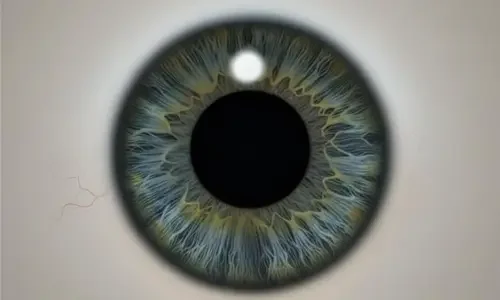 Dilated Pupils: Causes, Symptoms, Risks &amp; When to See an Optometrist