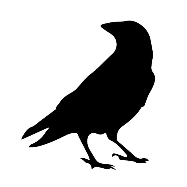 Why the raven symbol