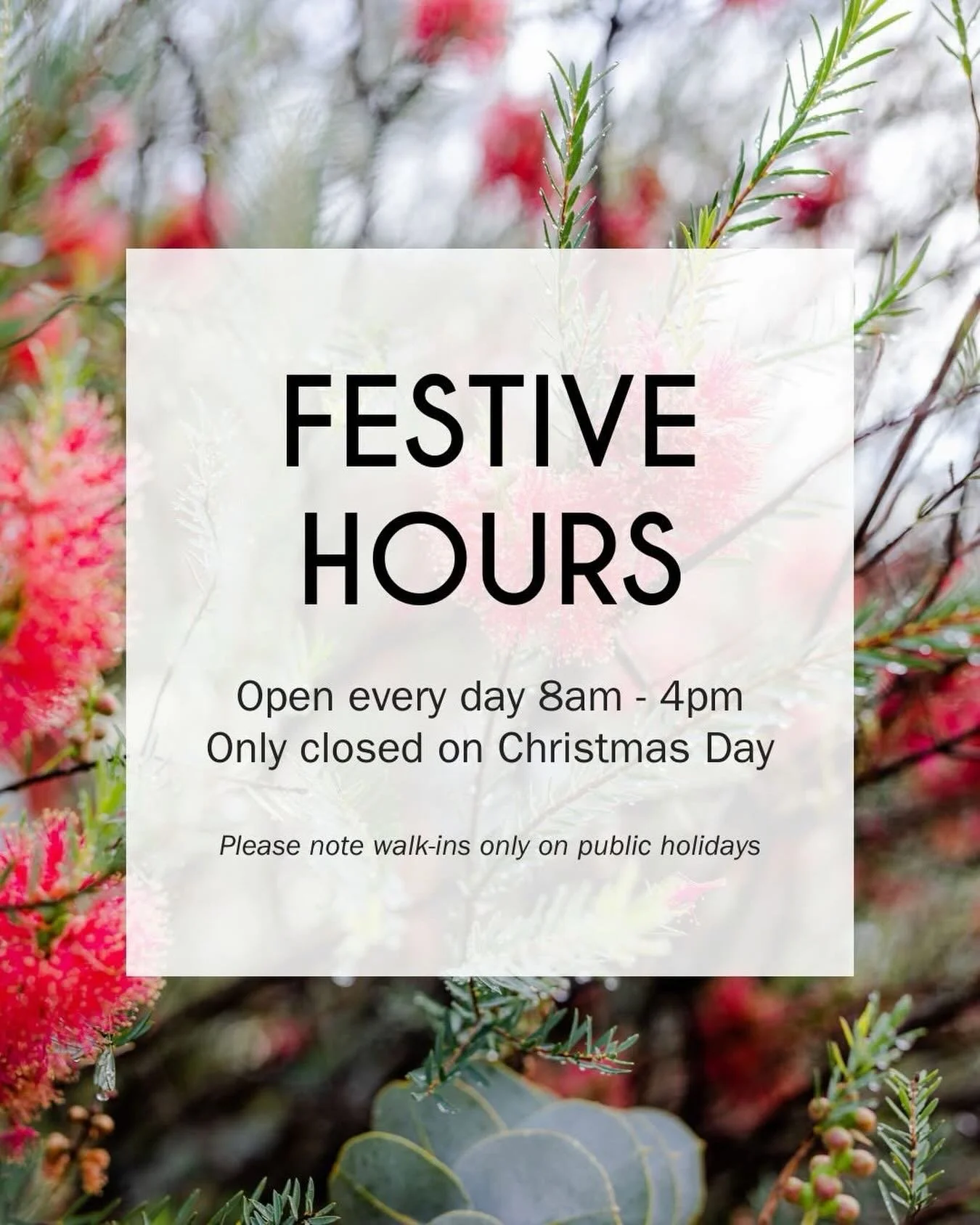 Festive Hours 🌸

Walk-ins only on public holidays (no bookings).