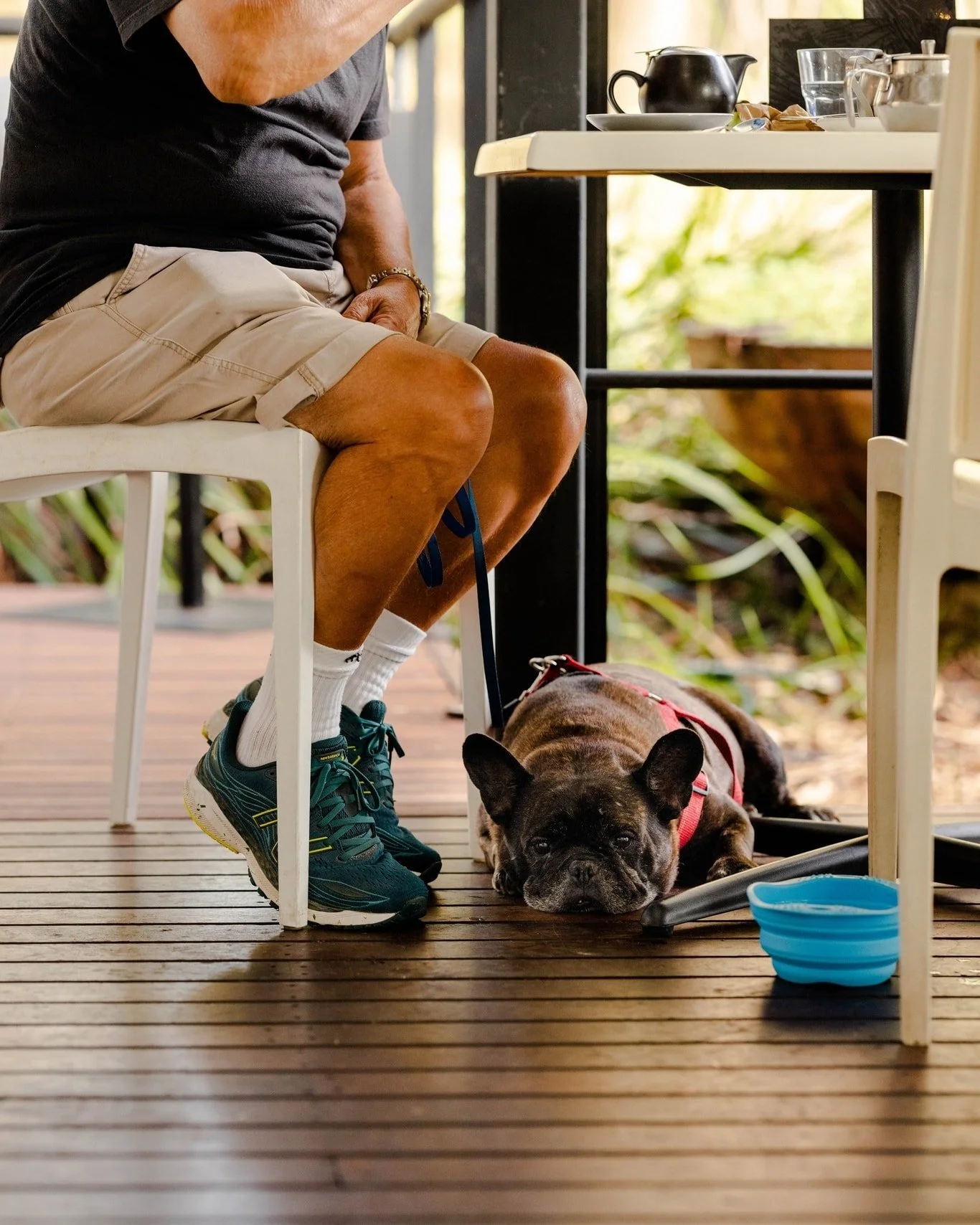 Dogs Welcome 🐾🌿
#perthcafe #perthyums #perthfood #coffeeperth  #perthdrinks #perthisok  #perthreastaurant