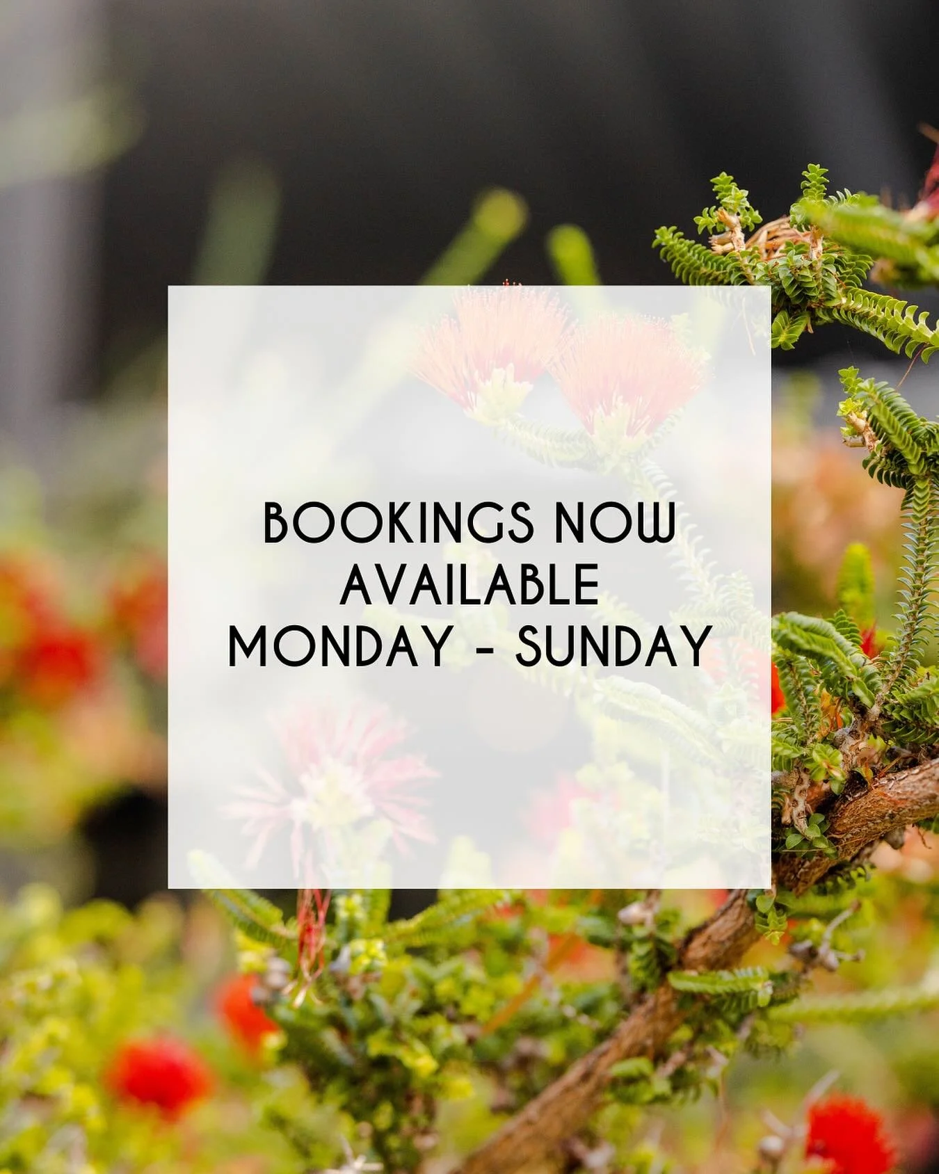 We&rsquo;re now accepting bookings every day of the week! 

Walk-ins only on public holidays (no bookings).