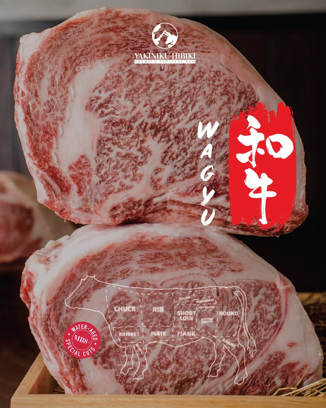 Where quality meets perfection. Treat yourself to expertly selected Wagyu beef with luxurious MB 8+ marbling at Yakiniku Hibiki.

The more, the better 
Yakiniku Hibiki | Premium Japanese BBQ
SUNSHINE PLAZA
🌐www.yakinikuhibiki.com.au

#todobrisbane 
