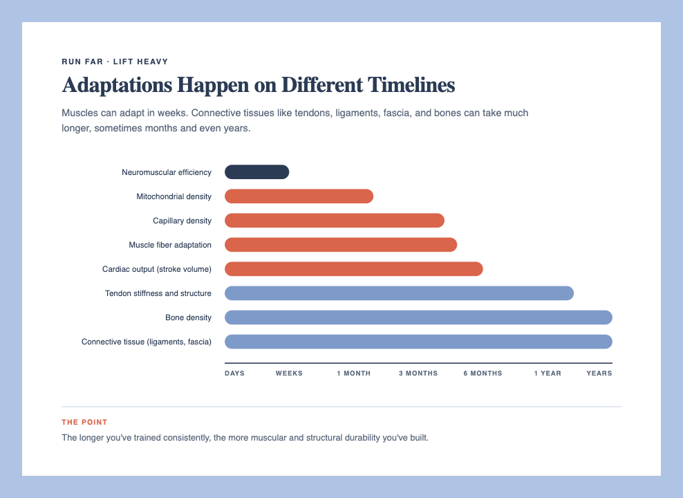 Adaptations Happen on Different Timelines