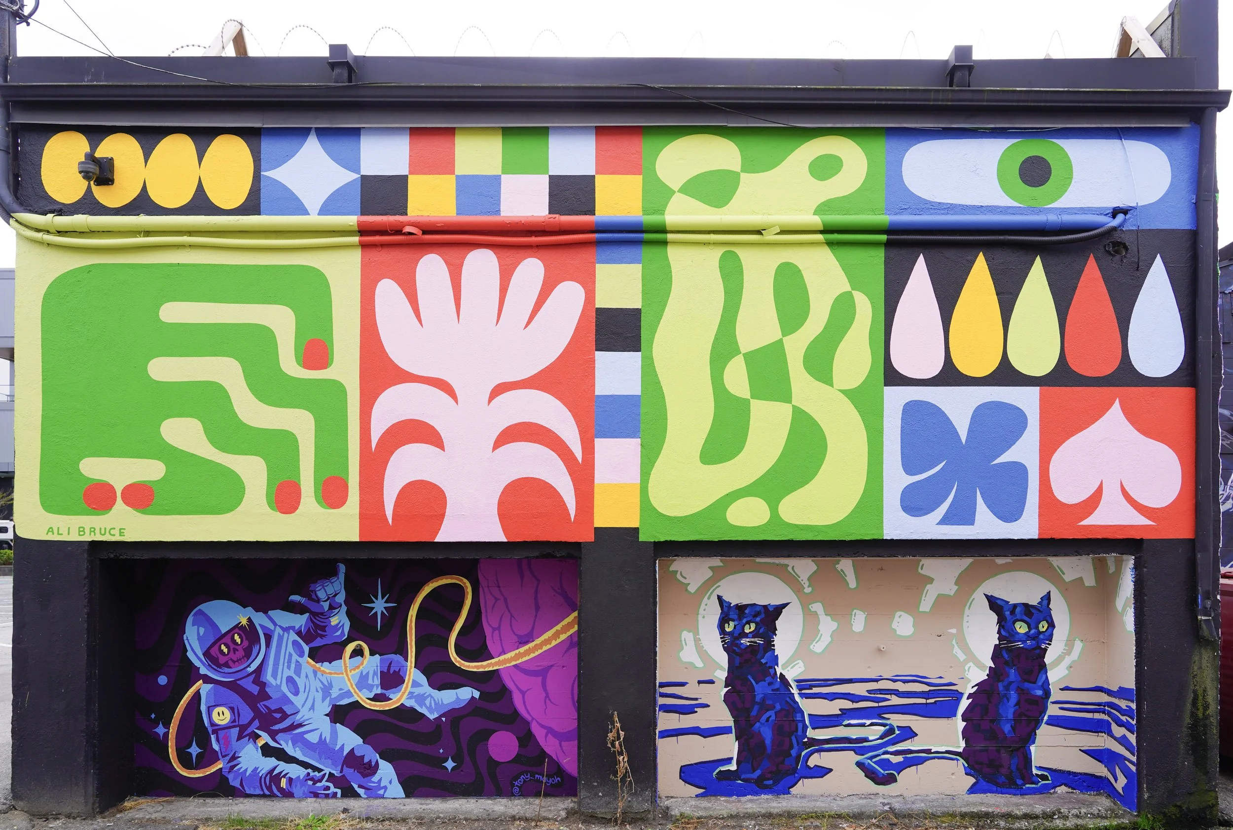 Ali Bruce (Top), Tony Mayoe (Left), Kyle Scott (Right)