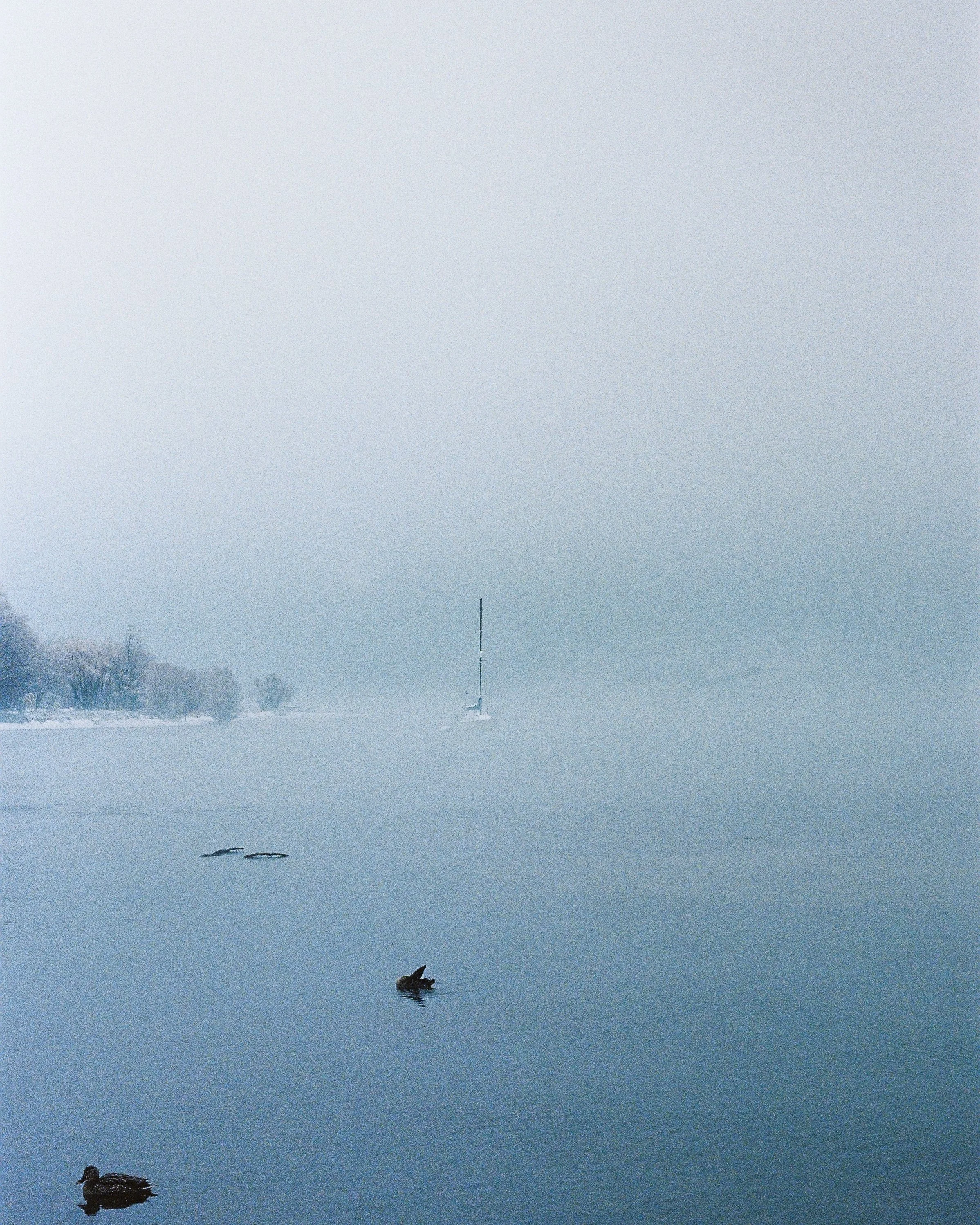 Coming Ashore.jpg