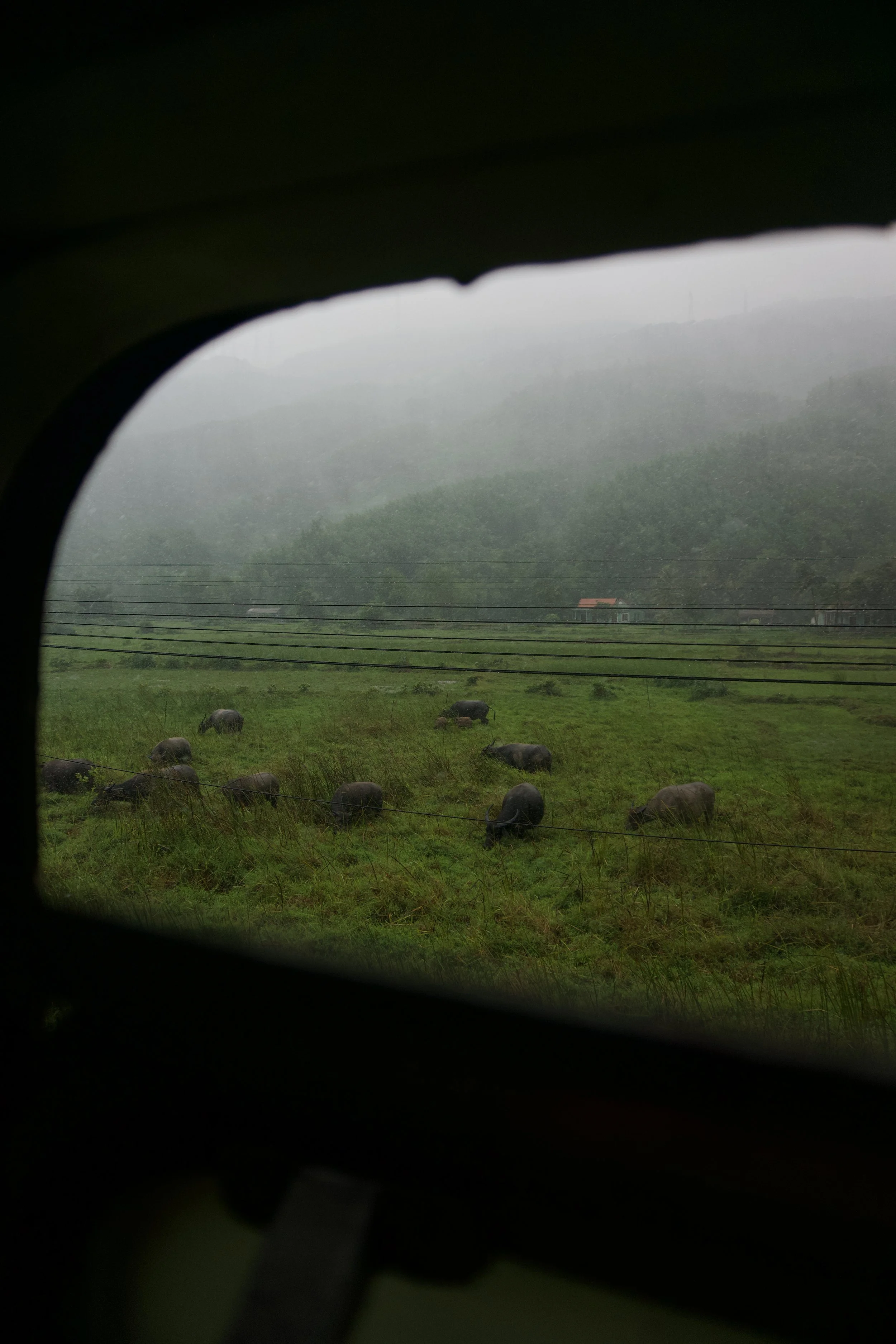 DSC06959.jpeg
