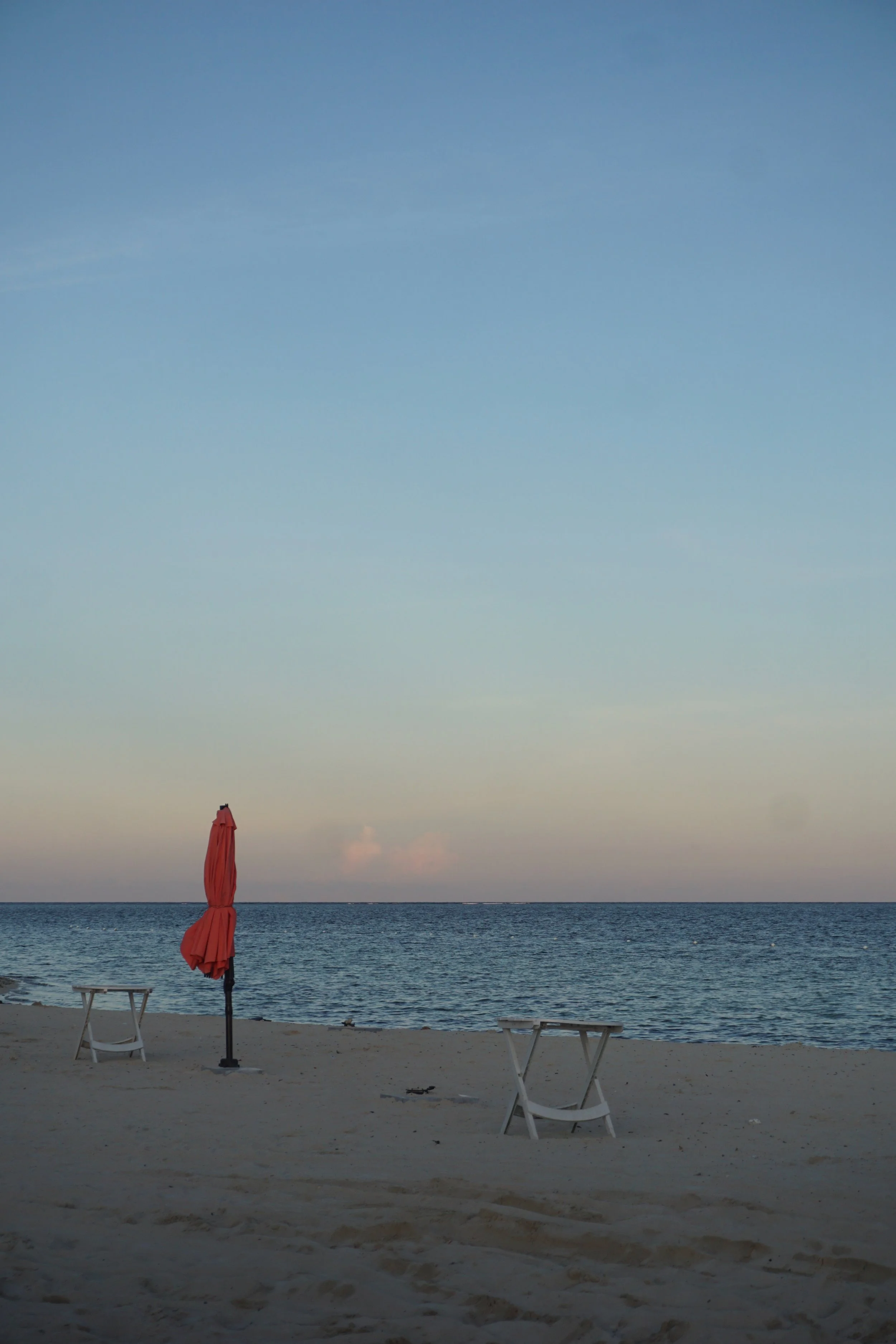 DSC03019.jpeg