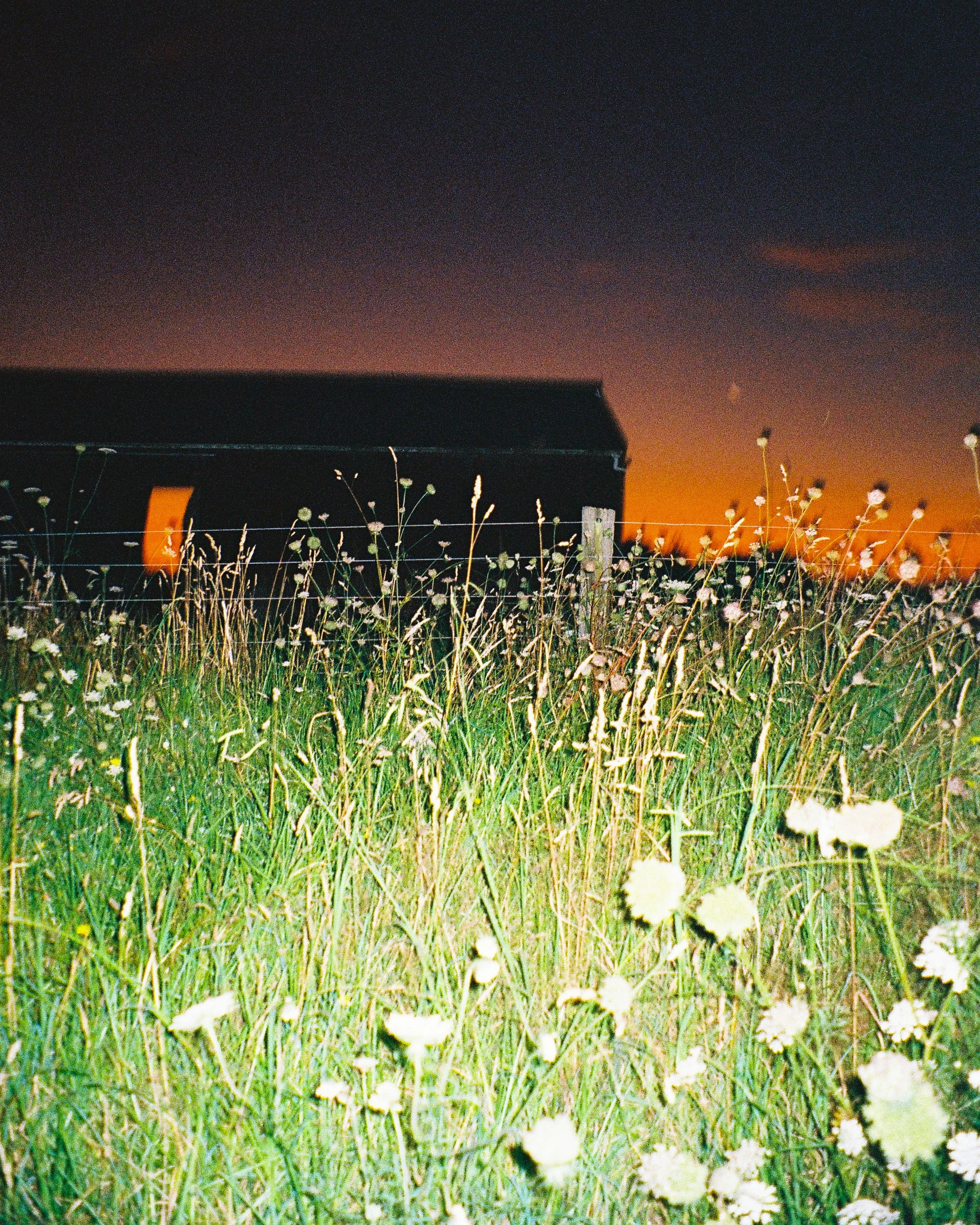 000012.jpg