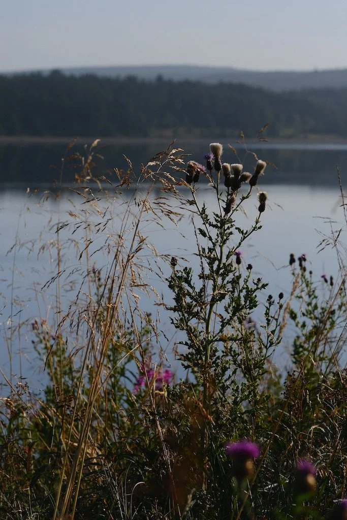 DSCF0308.JPG