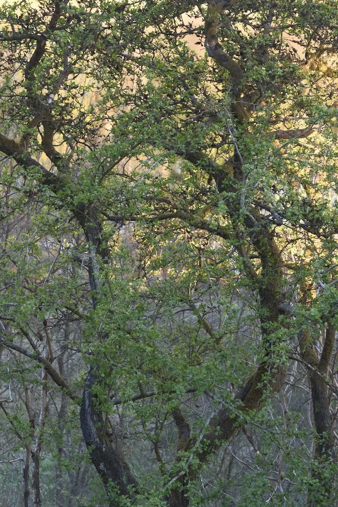 DSCF3103.JPG