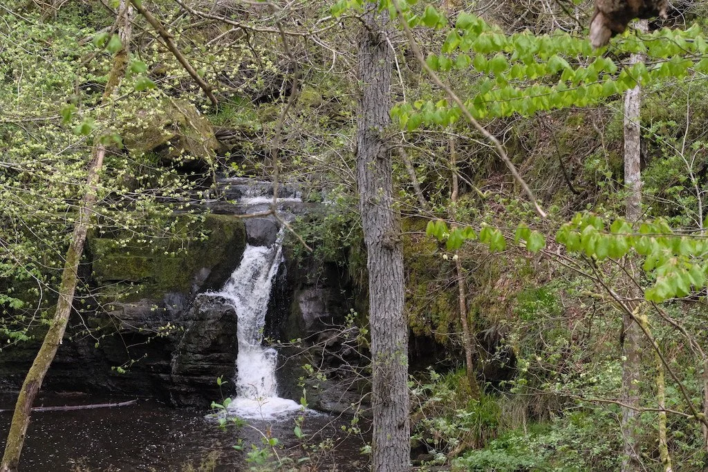 DSCF3313.JPG