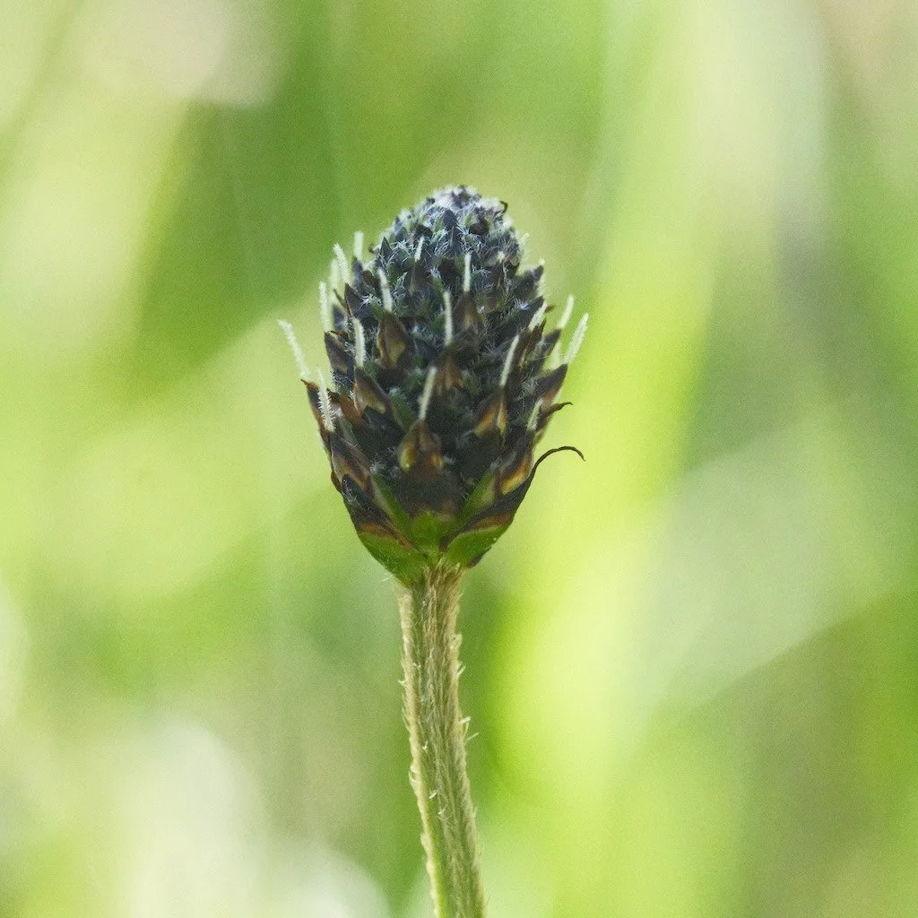 DSCF3184.JPG