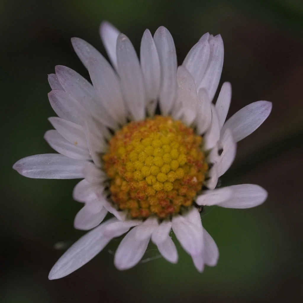 DSCF3420.JPG