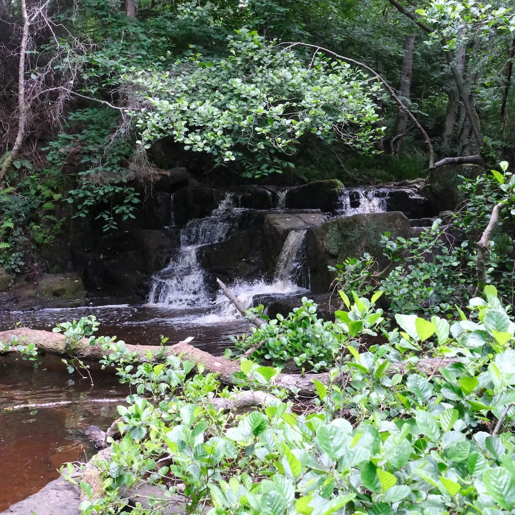 DSCF0416.JPG