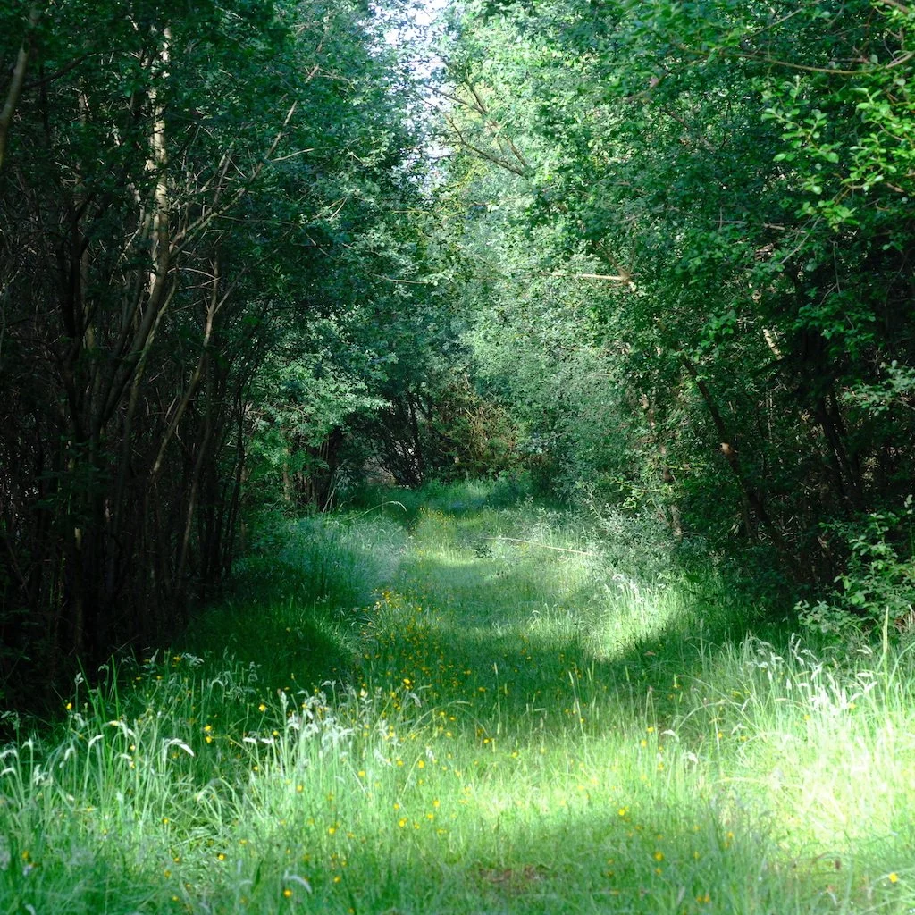 DSCF0685.JPG