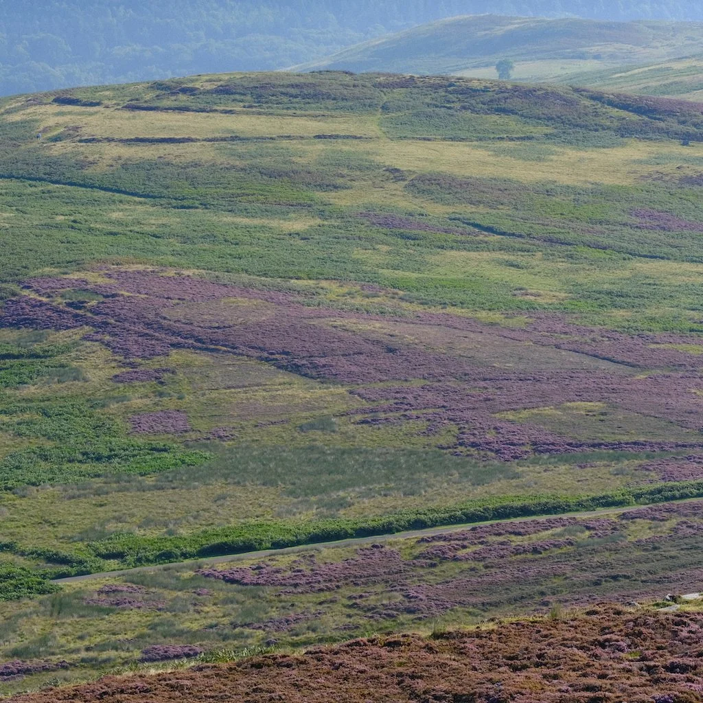 DSCF0808.JPG