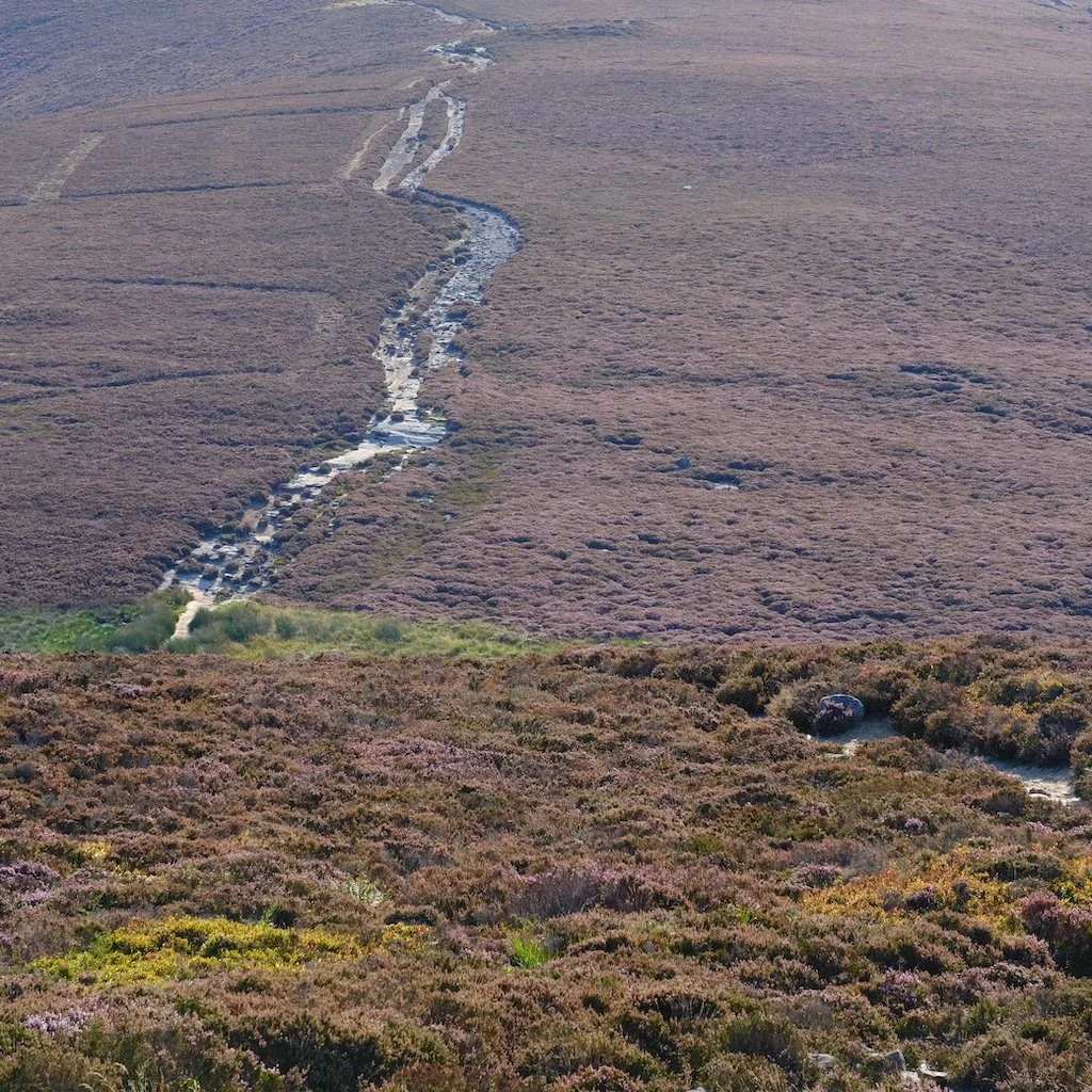 DSCF0813.JPG