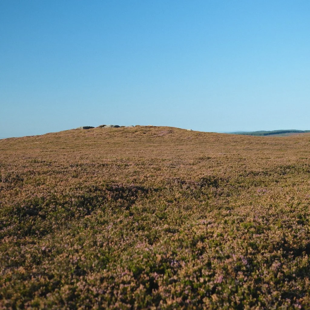 DSCF1023.JPG
