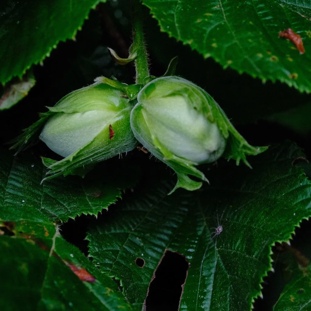 DSCF0616.JPG