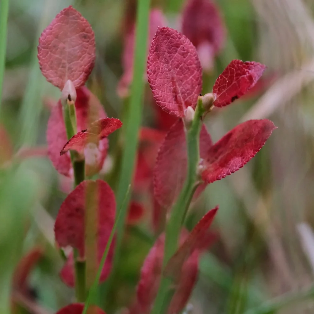 DSCF0855.JPG