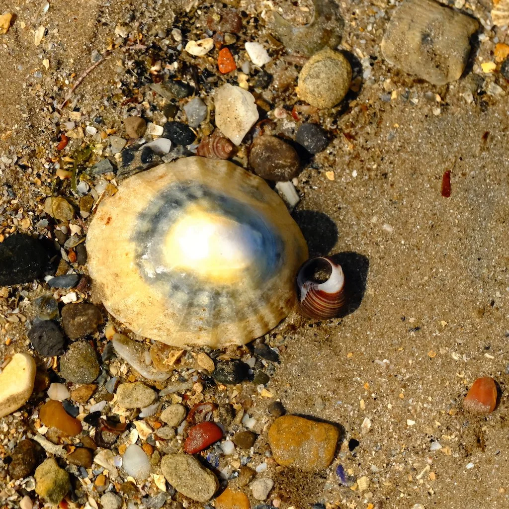 DSCF1095.JPG