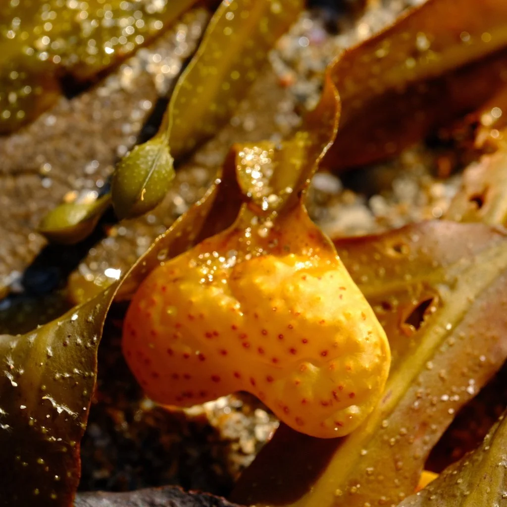 DSCF1076.JPG