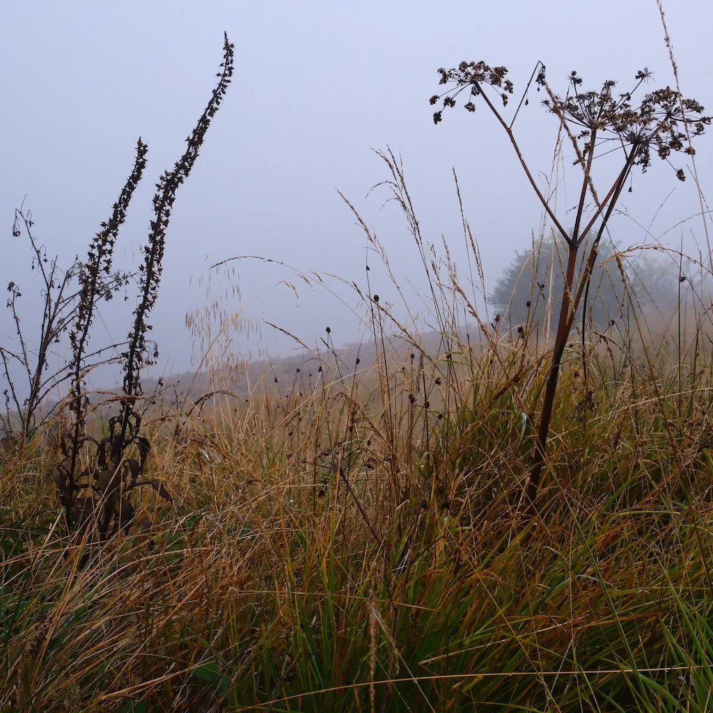 DSCF1261.JPG
