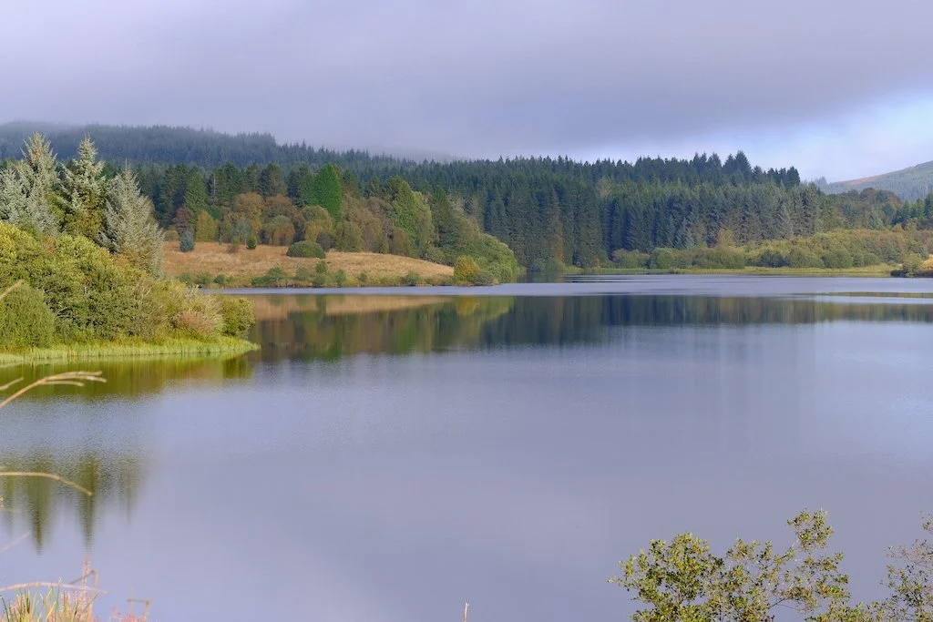 DSCF1187.JPG