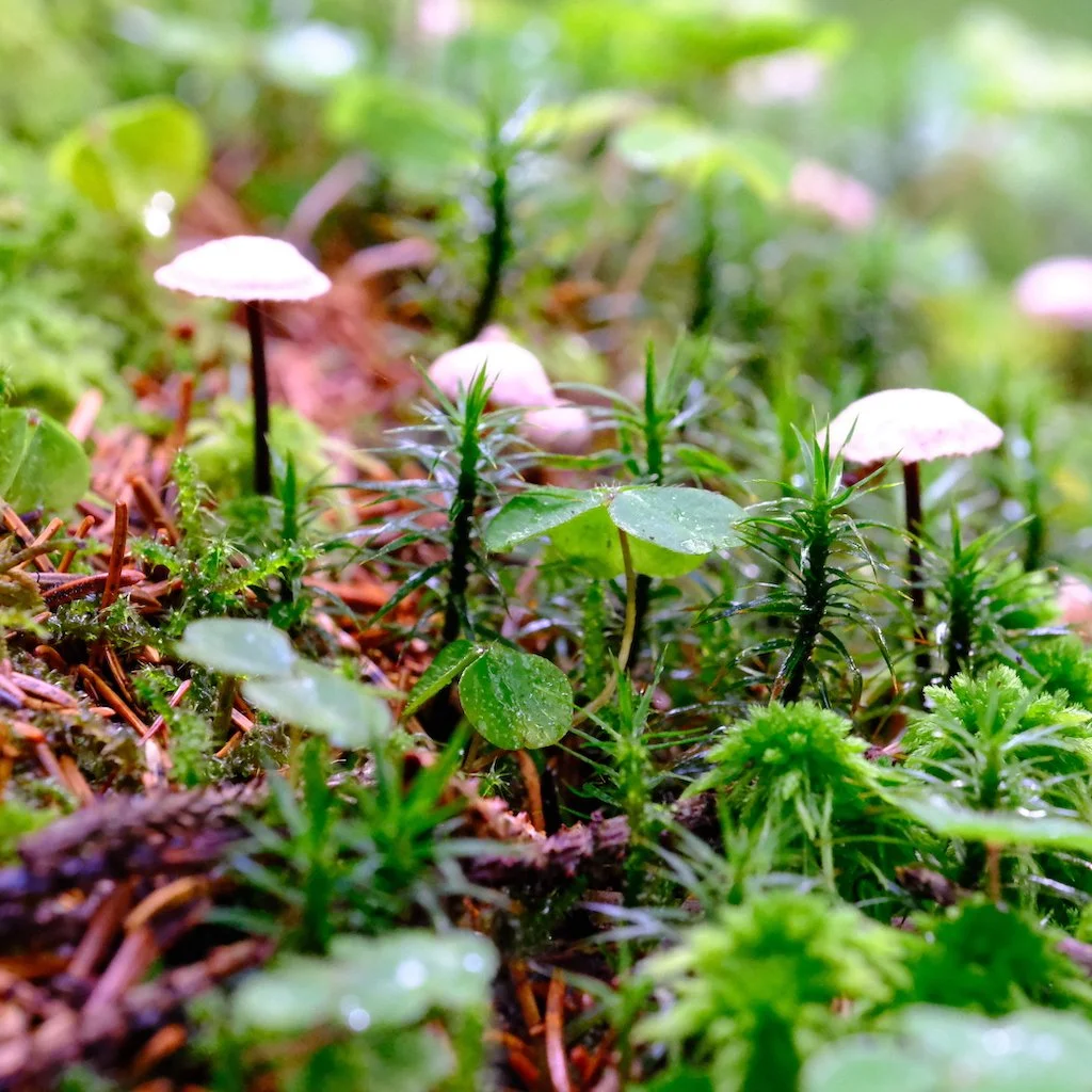 DSCF1143.JPG