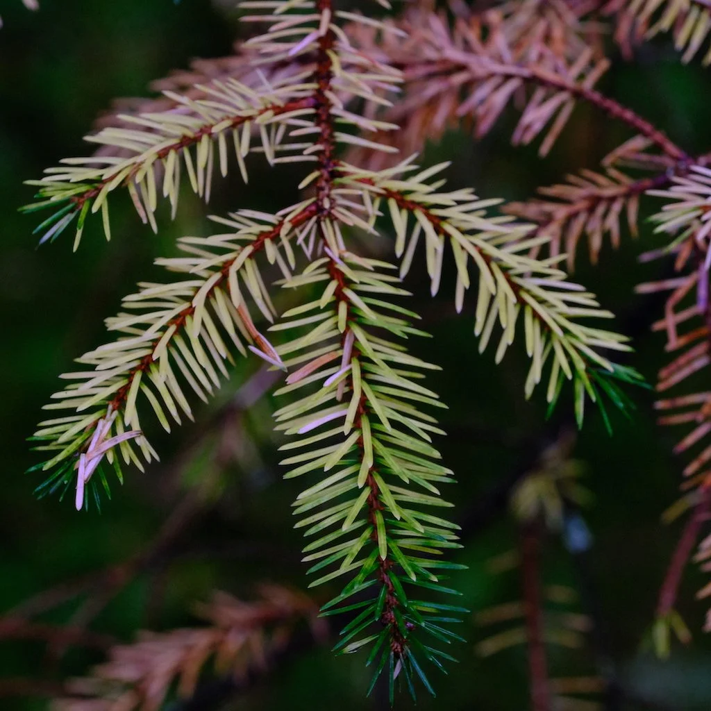 DSCF1167.JPG