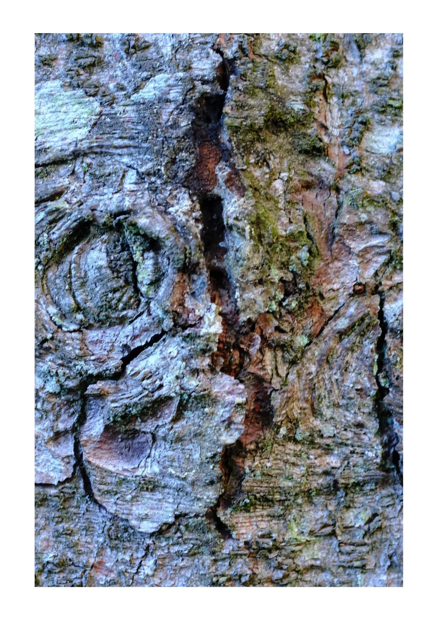 treeart6thoct25.jpg