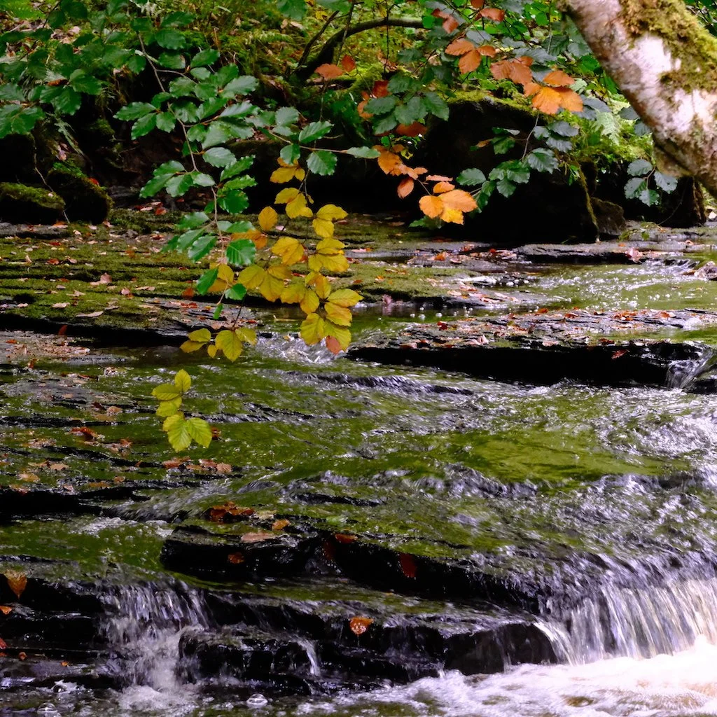 DSCF1307.JPG