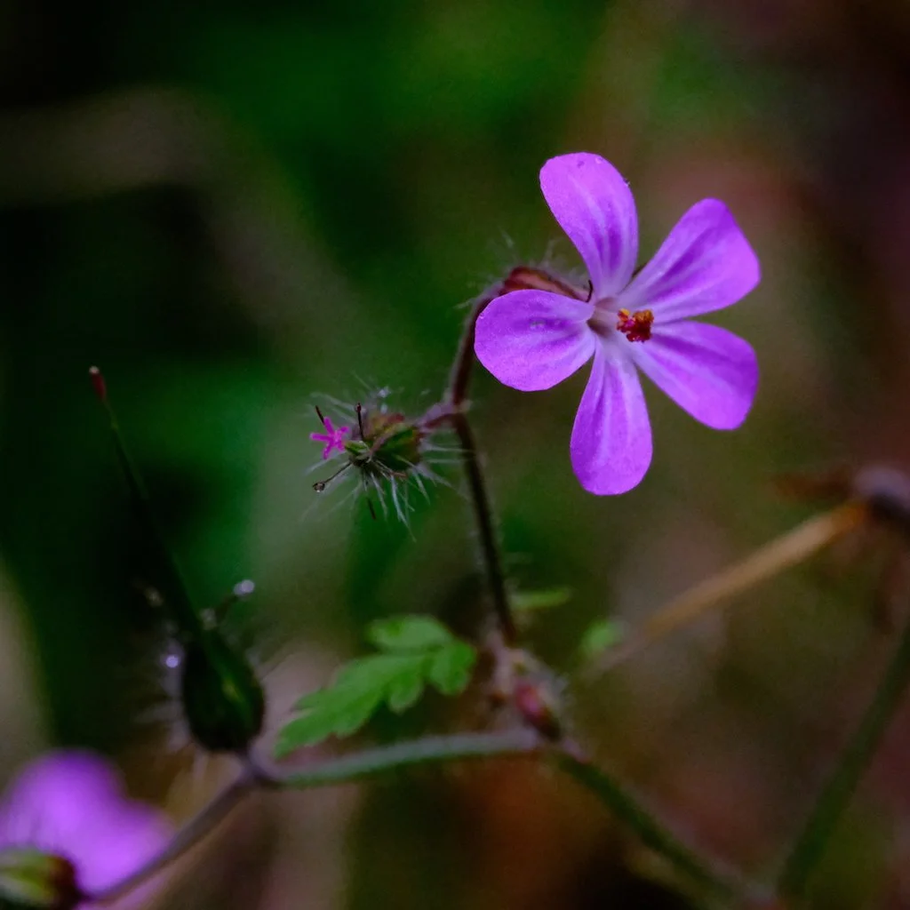 DSCF1302.JPG