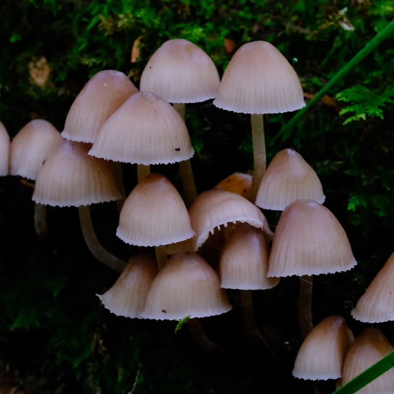 DSCF1289.JPG