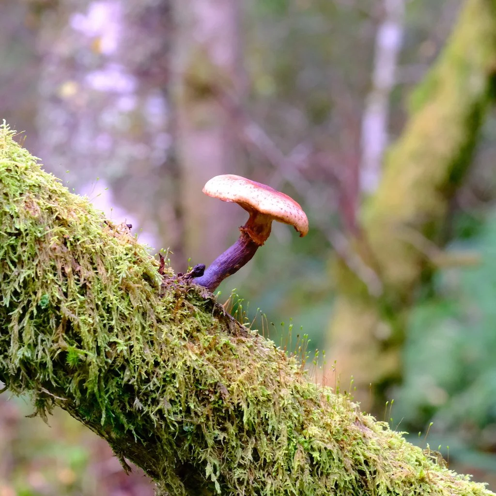 DSCF1122.JPG