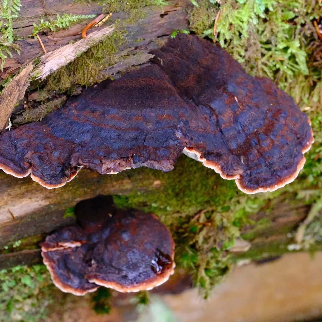 DSCF1152.JPG